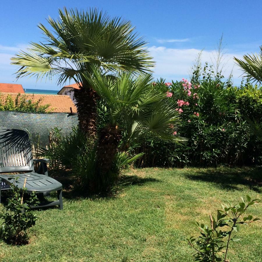 Casa "La Conchiglia" Bed & Breakfast Civitanova Marche Exterior photo