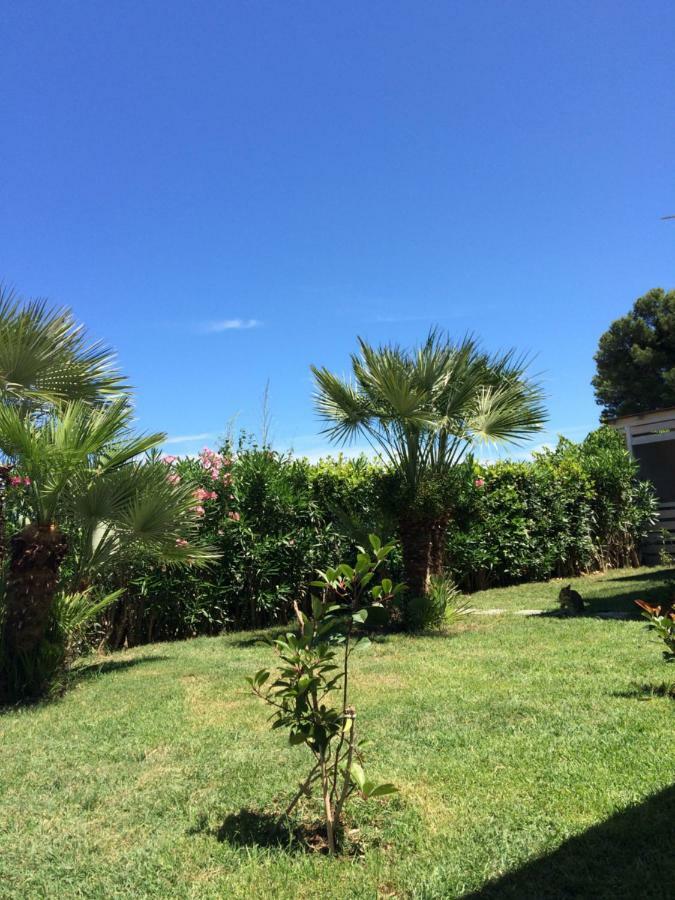Casa "La Conchiglia" Bed & Breakfast Civitanova Marche Exterior photo